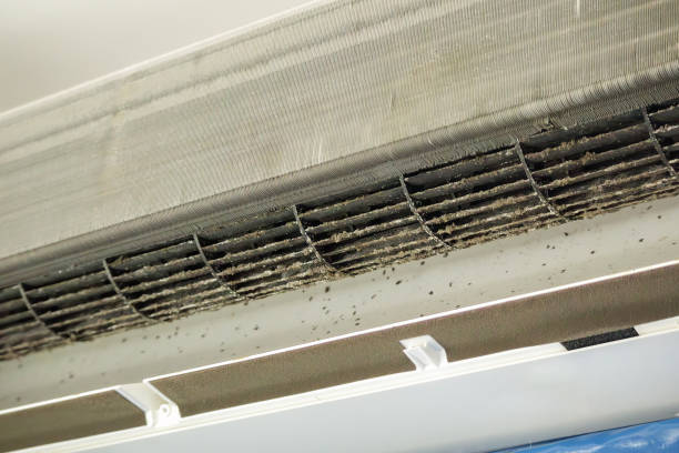 Best Emergency Air Duct Cleaning  in Cobb Island, MD